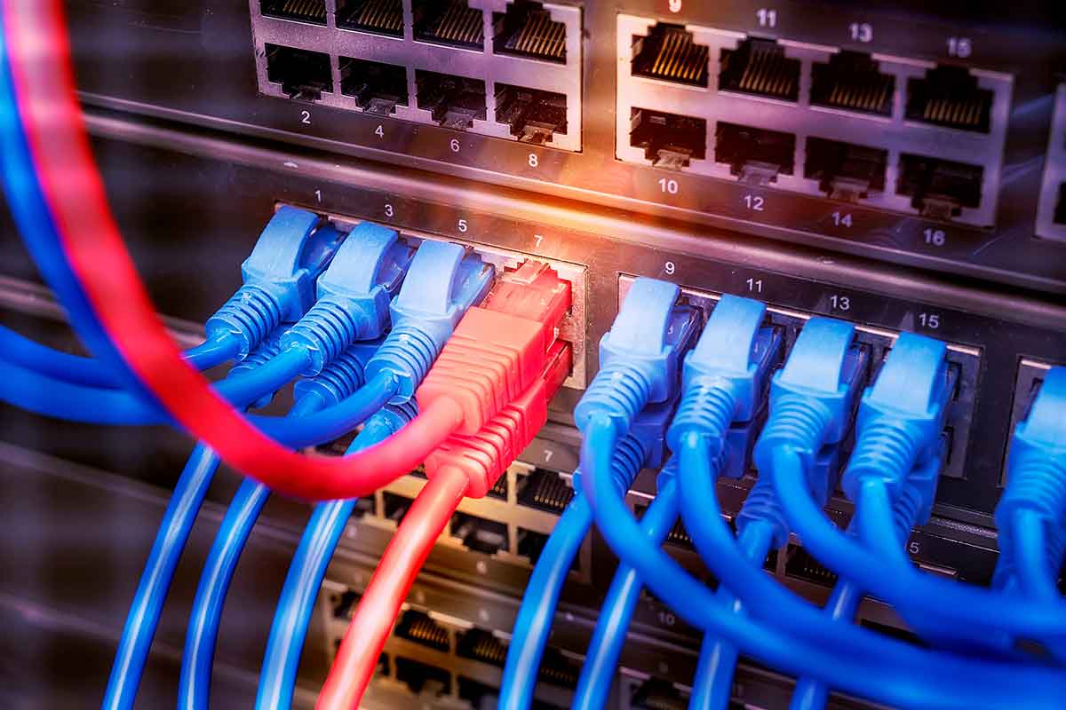 Bright blue and red colored Ethernet cables plugged into a patch panel.